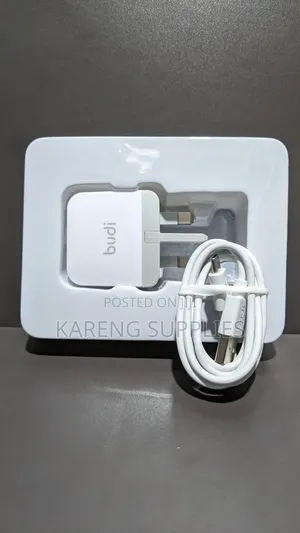 Budi 12w Type C Home Charger
