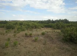 16 Acres for Sale in Ngobit Laikipia
