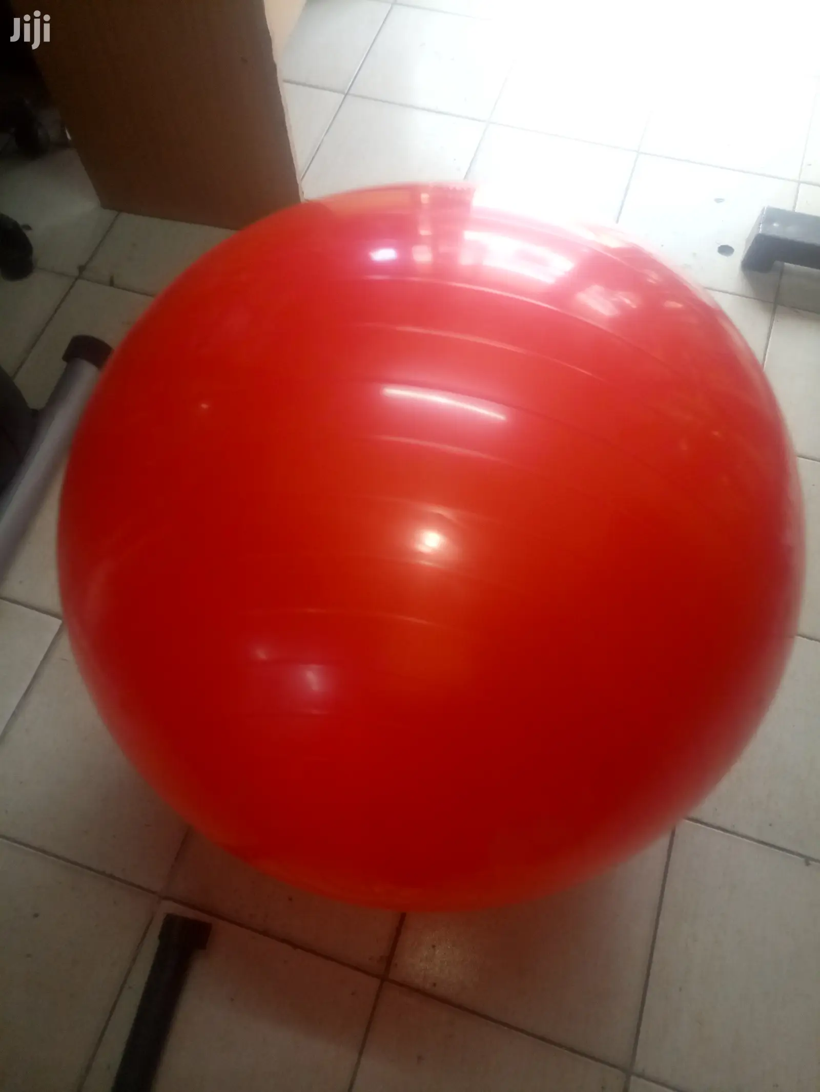 Swiss/Gym Ball
