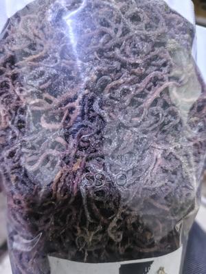 Sea Moss Irish Moss - thumbnail 2