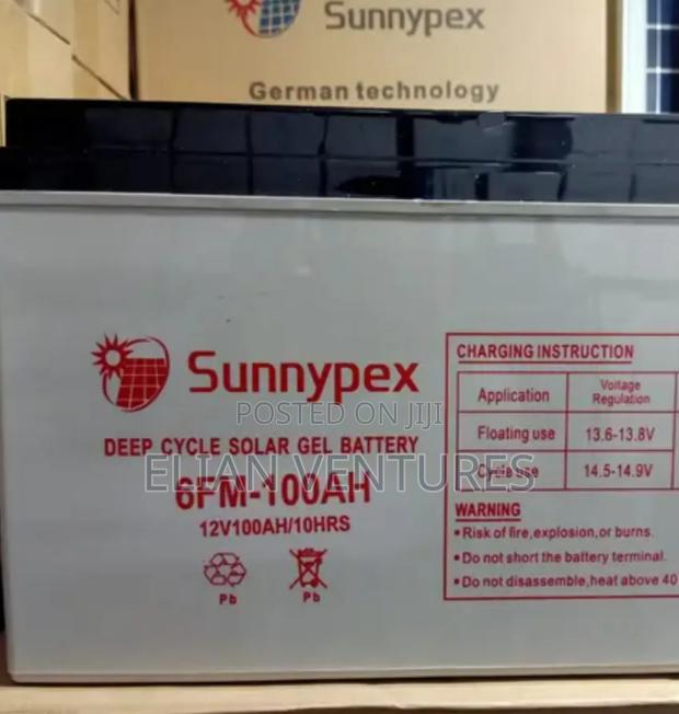 Top Brand 100 Ah Sunnypex Battery