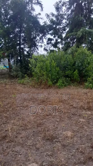 Hot Deal- 1 Acre in Nanyuki/Naromoru