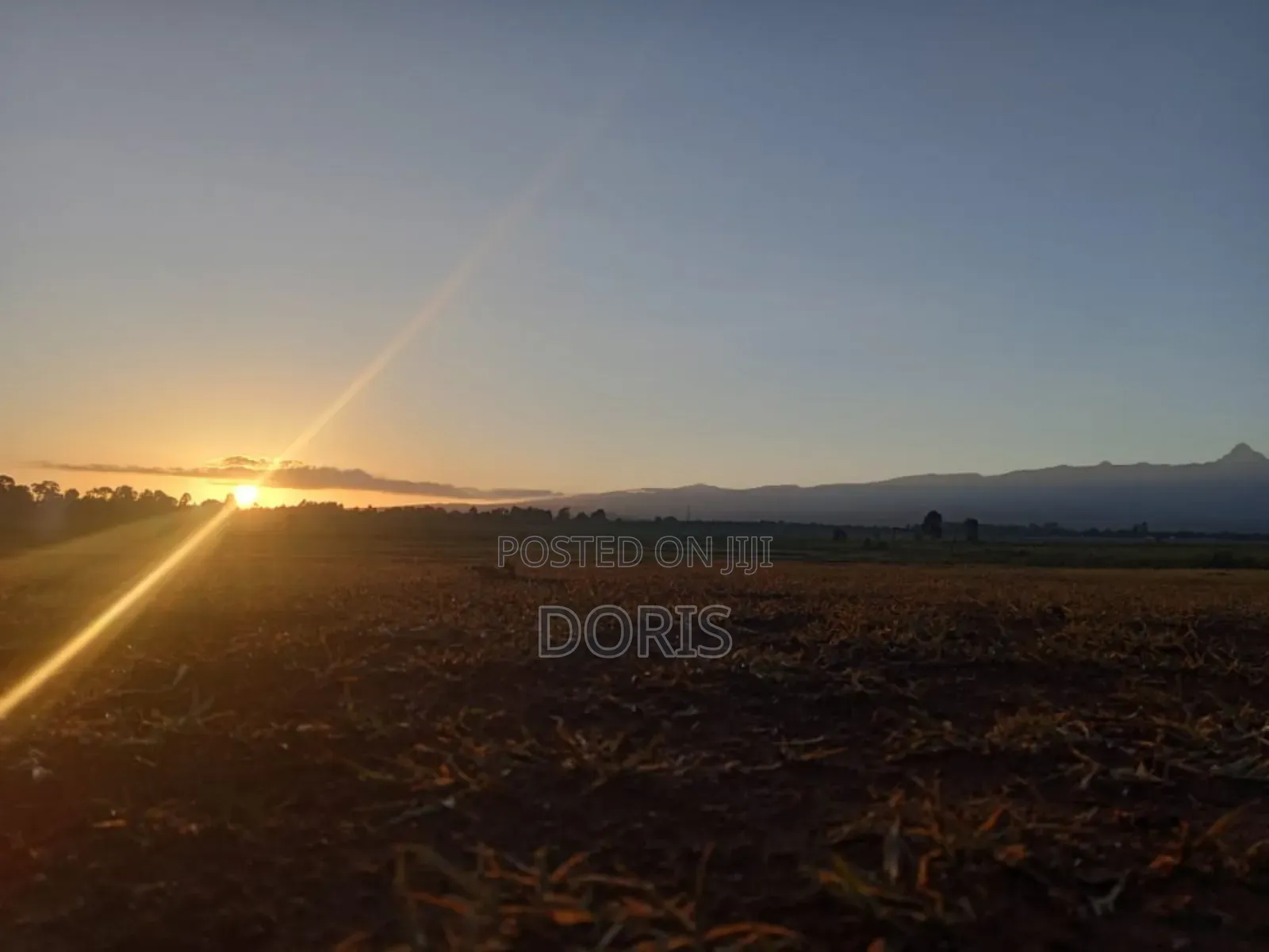 Hot Deal- 1 Acre in Nanyuki/Naromoru