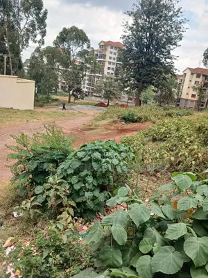 1/4 Prime Land for Lease in Kawangware