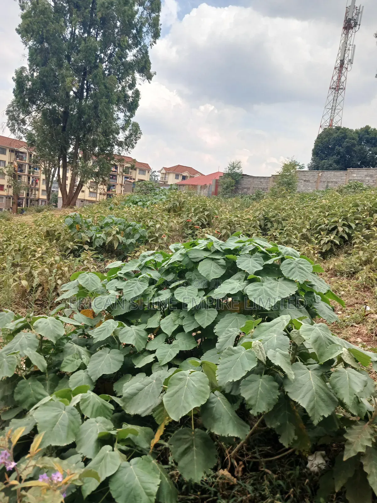 1/4 Prime Land for Lease in Kawangware