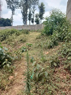 1/4 Prime Land for Lease in Kawangware