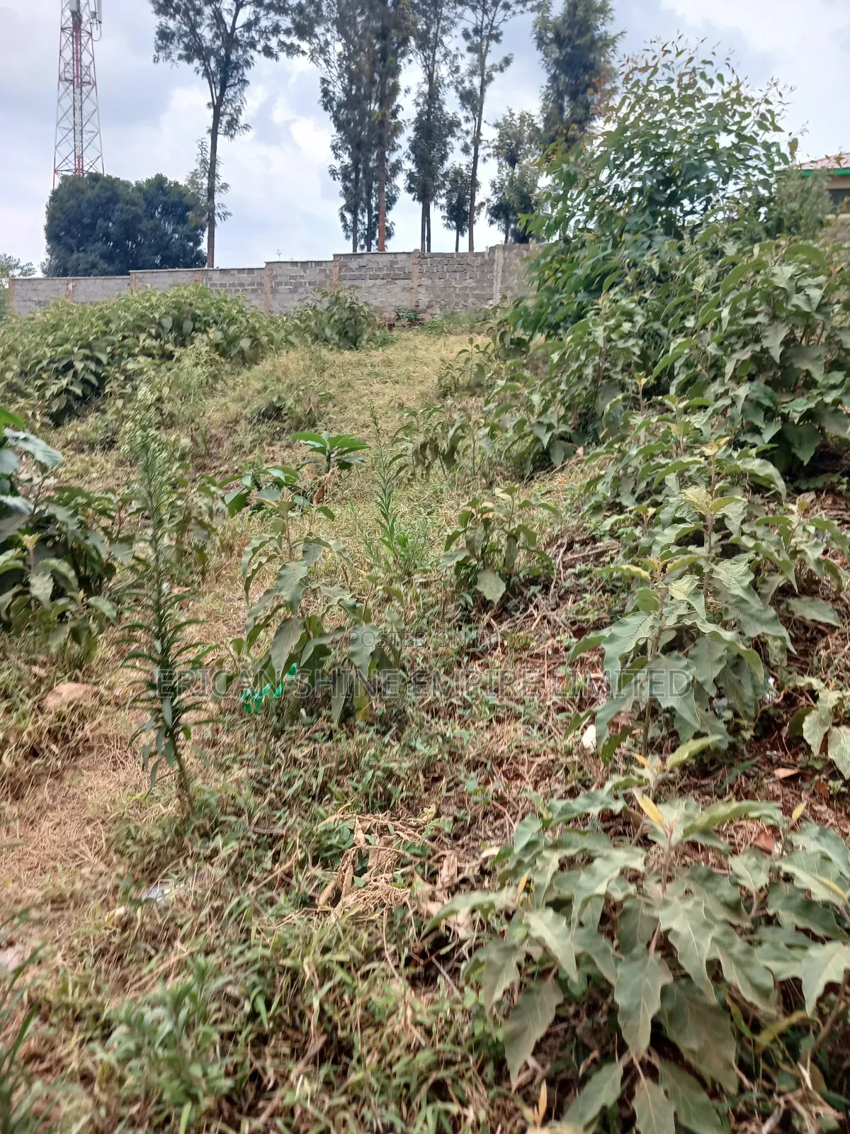1/4 Prime Land for Lease in Kawangware