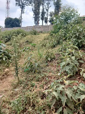 1/4 Prime Land for Lease in Kawangware