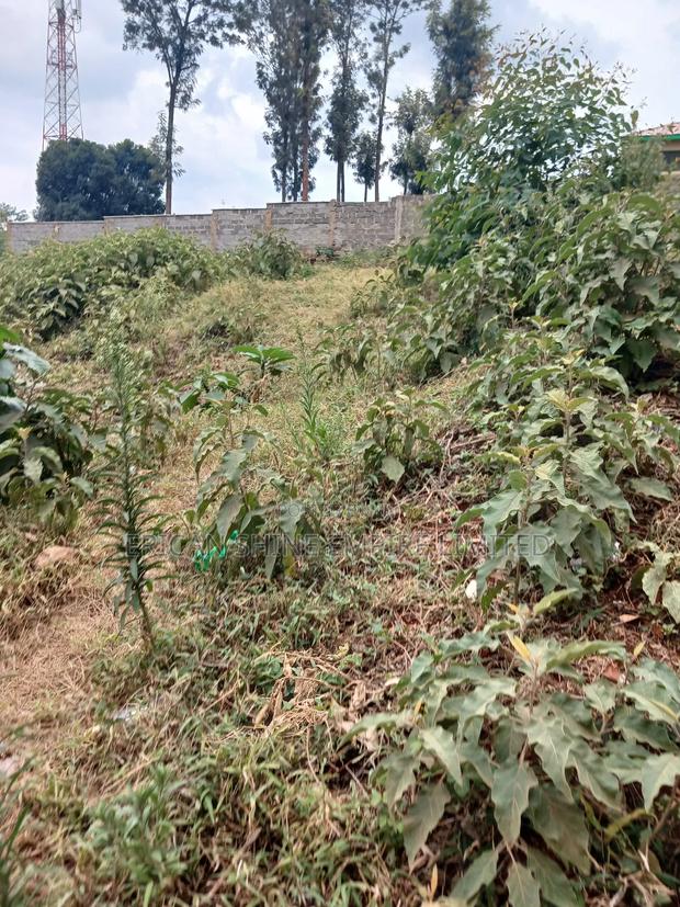 1/4 Prime Land for Lease - thumbnail 5