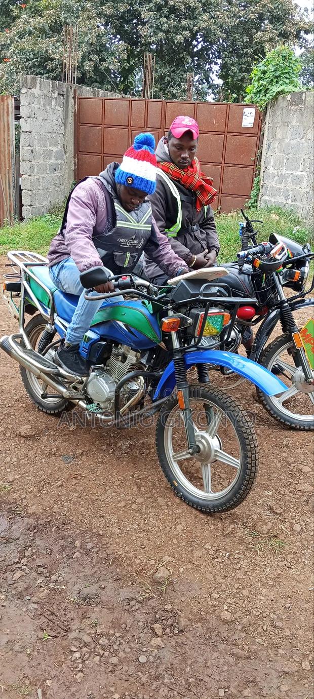 Skygo Stallion 150 2022 Blue - thumbnail 3