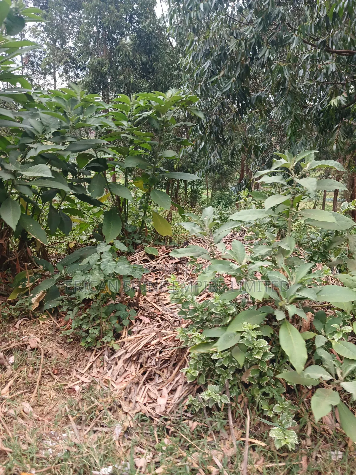 1/2 Prime Plot for Lease in Uthiru