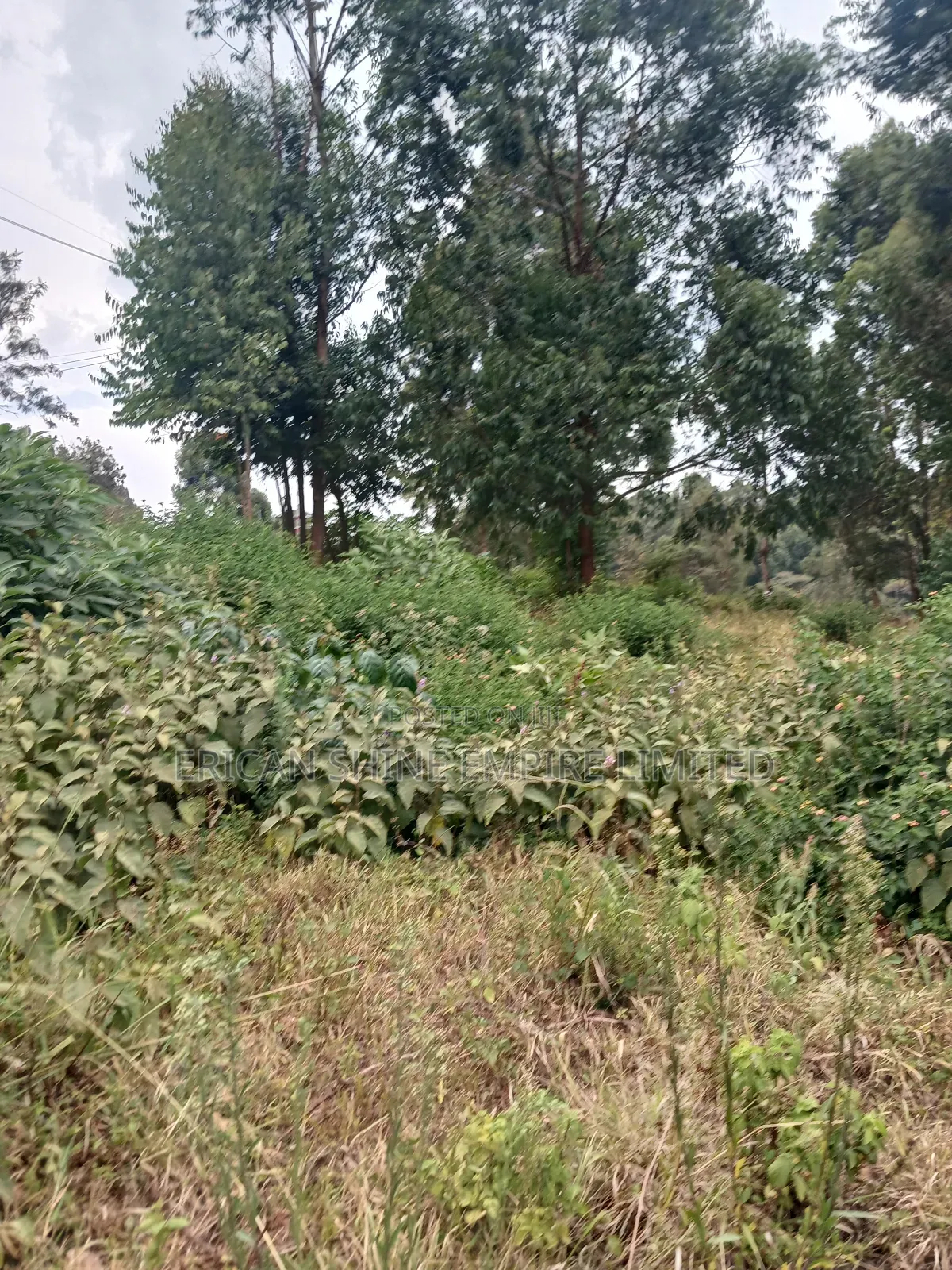 1/2 Prime Plot for Lease in Uthiru