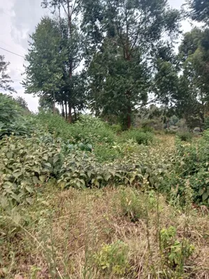 1/2 Prime Plot for Lease in Uthiru