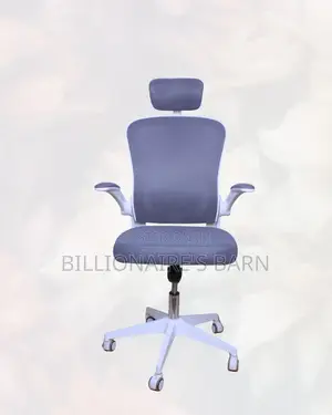 White Ergonomic Mesh Chair | Adjustability for Different Desk Heights