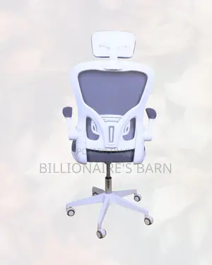 White Ergonomic Mesh Chair | Adjustability for Different Desk Heights
