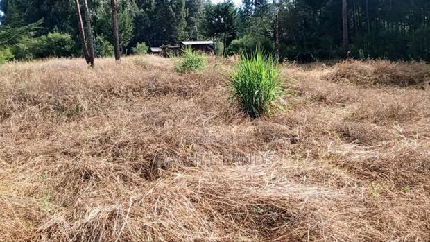 Two and 1⁄2acres of Prime Land With a Semi-Permanent House for Sale 