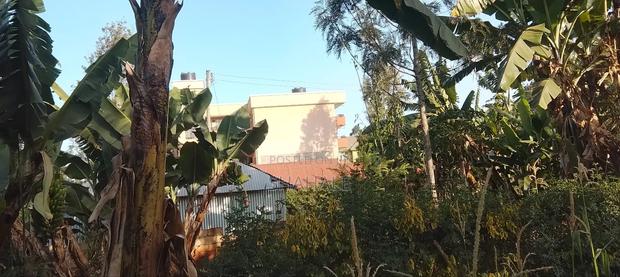 1/4 Acre Piece of Land - thumbnail 5