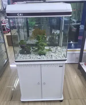 Aquariums Table Top / Free Standing.
