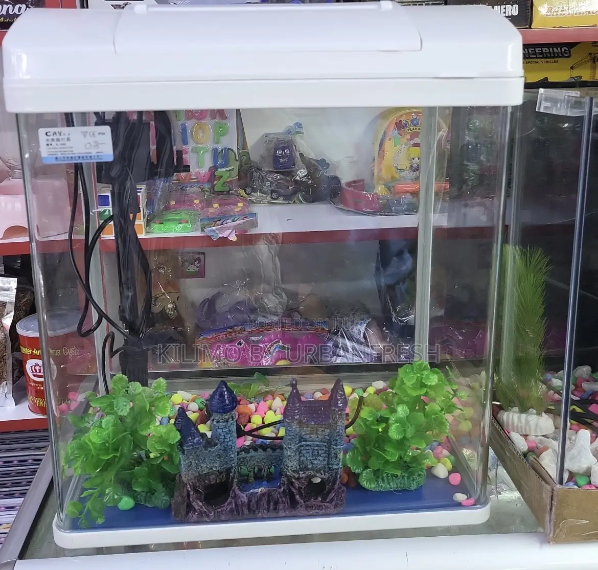 Aquariums Table Top / Free Standing.
