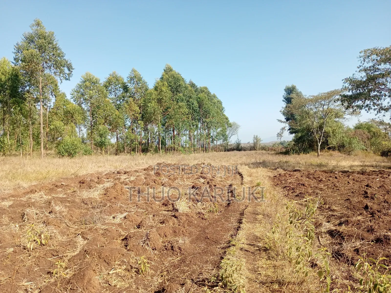 Prime Plots for Sale