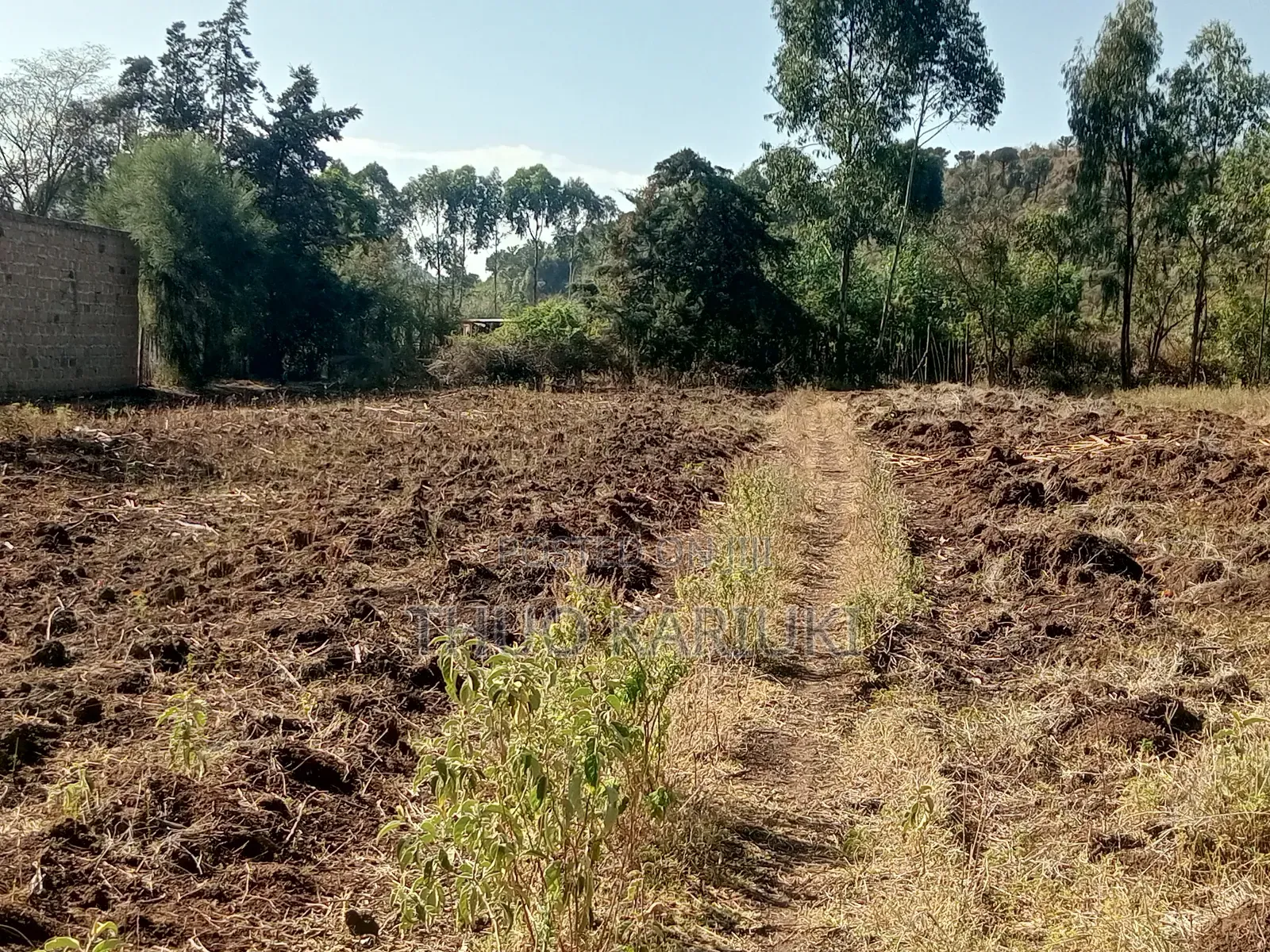 Prime Plots for Sale