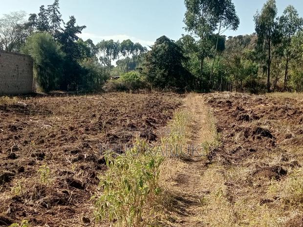 Prime Plots for Sale - thumbnail 15