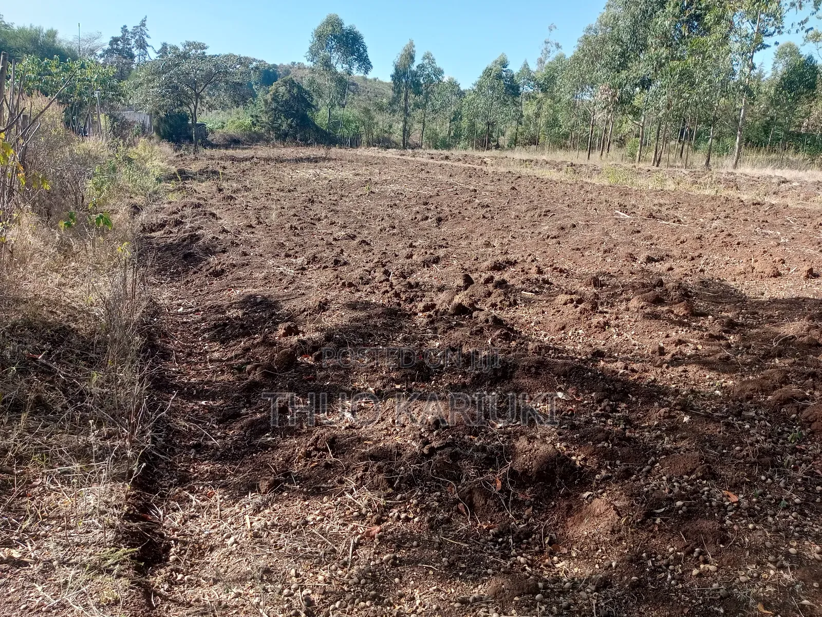 Prime Plots for Sale