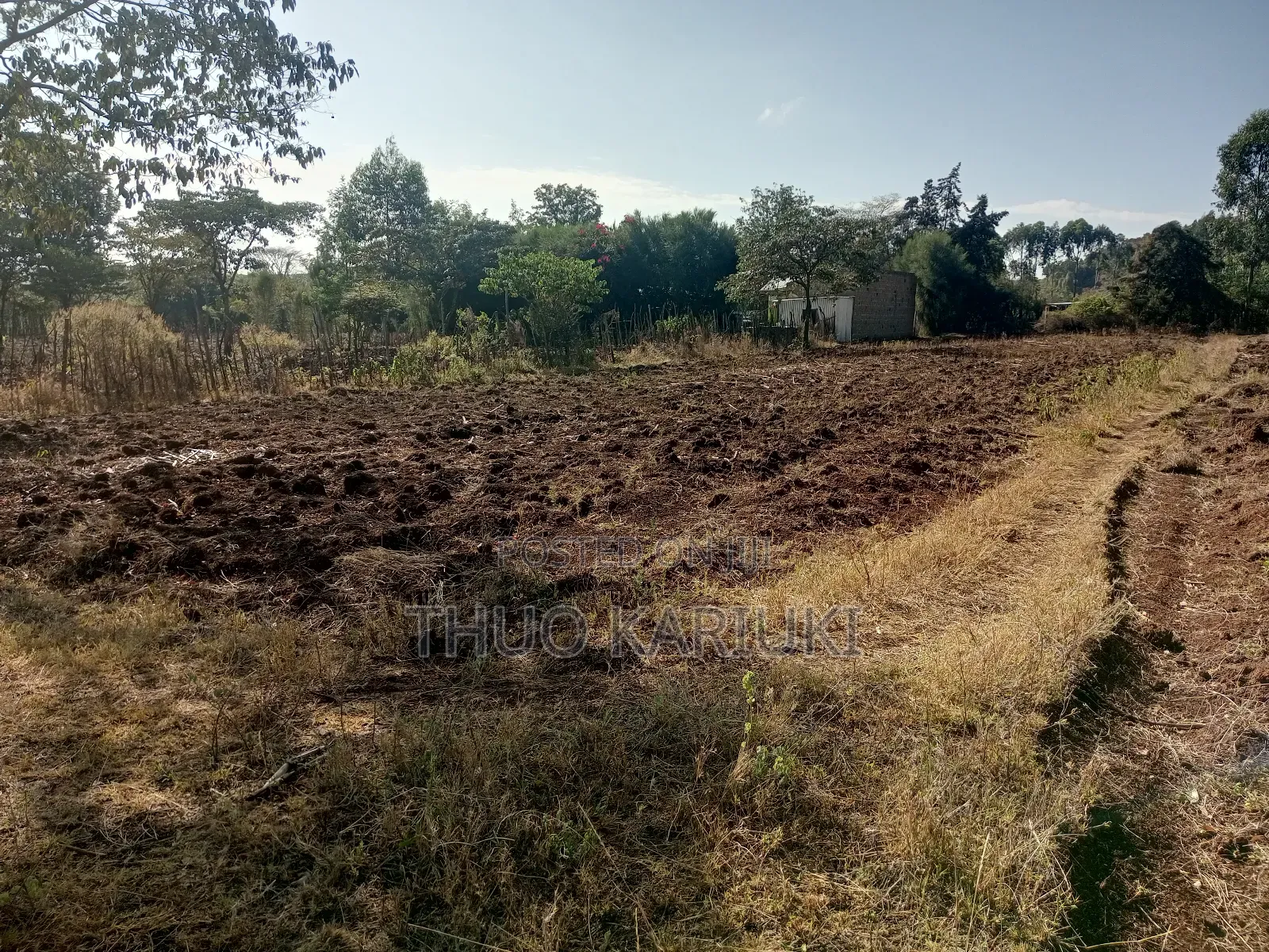 Prime Plots for Sale