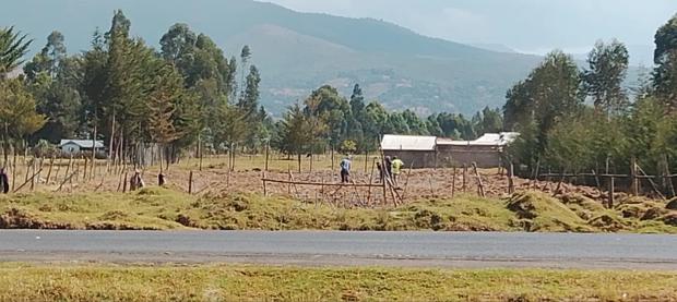 Land 100×100 - main view