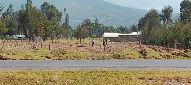 Land 100×100 - thumbnail 2