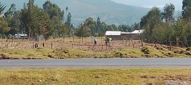 Land 100×100 - thumbnail 3