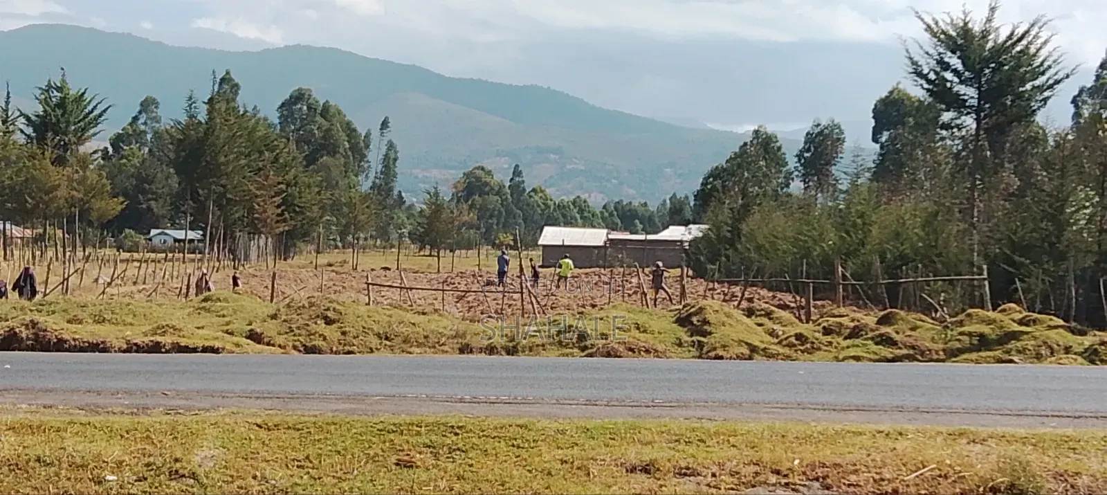 Land 100×100