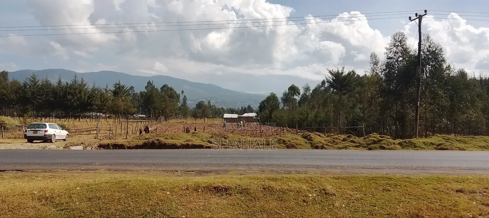Land 100×100