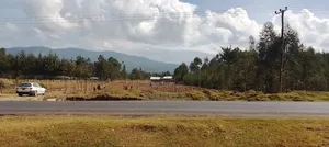 Land 100×100