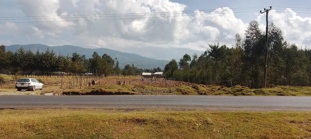 Land 100×100 - thumbnail 5