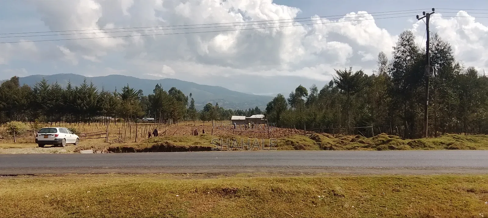 Land 100×100