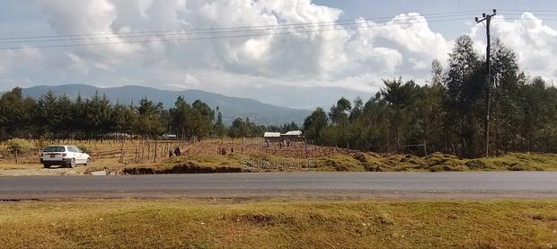 Land 100×100 - thumbnail 6