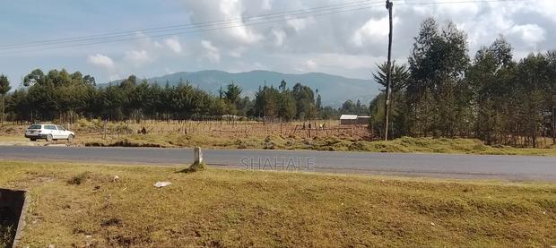 Land 100×100 - thumbnail 8