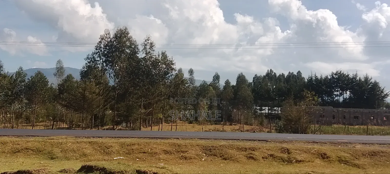 Land 100×100