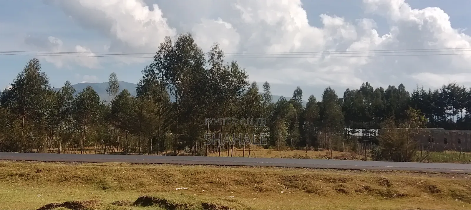 Land 100×100