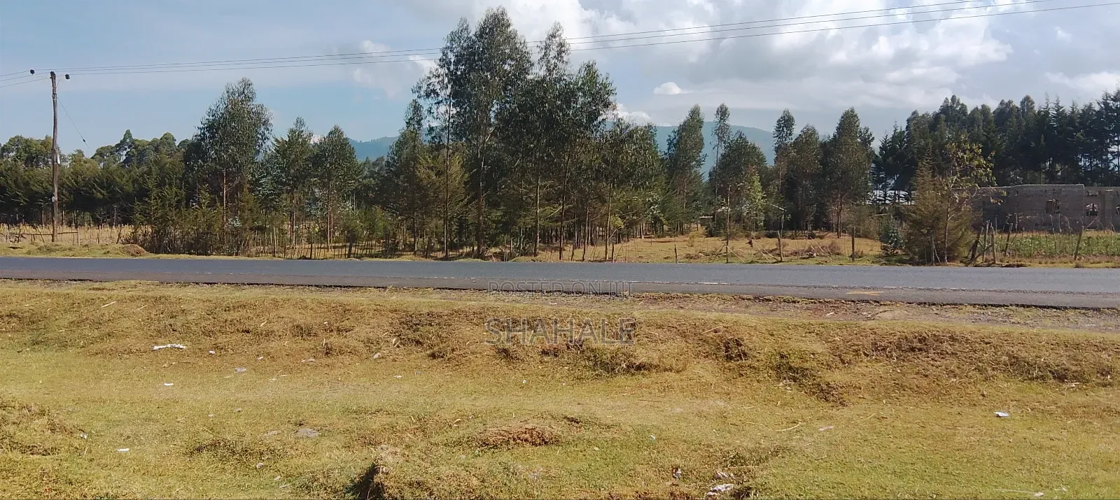 Land 100×100