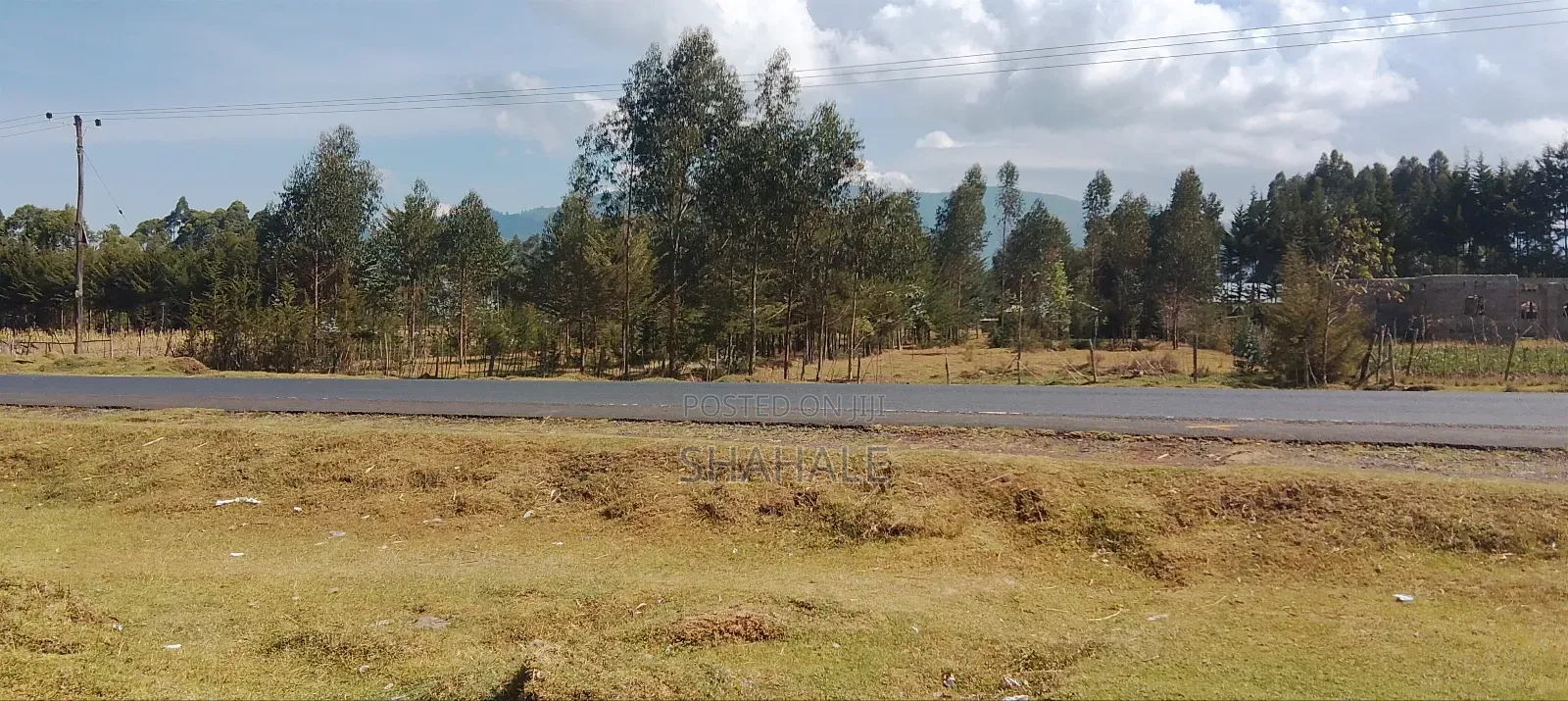 Land 100×100