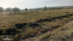 Kitengela Millimani