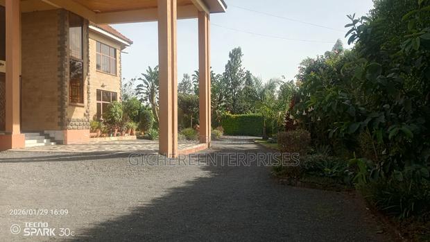 4bdrm House in Muthaiga North for sale - thumbnail 5