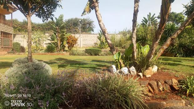 4bdrm House in Muthaiga North for sale - thumbnail 7