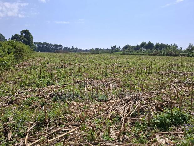 12 Acres Misikhu - main view