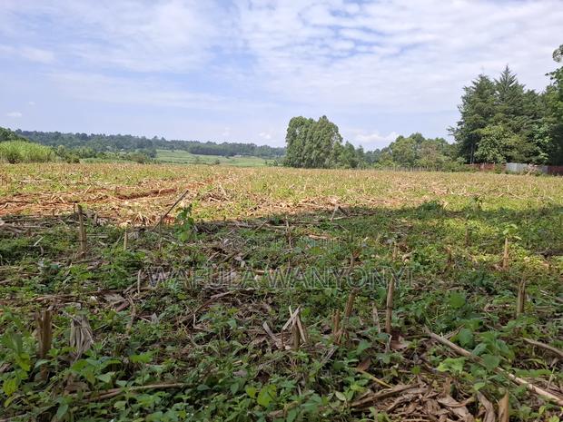 12 Acres Misikhu - thumbnail 2