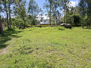 100 by 100 Kocholia Busia