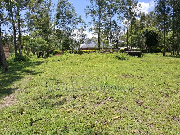 100 by 100 Kocholia Busia - main view