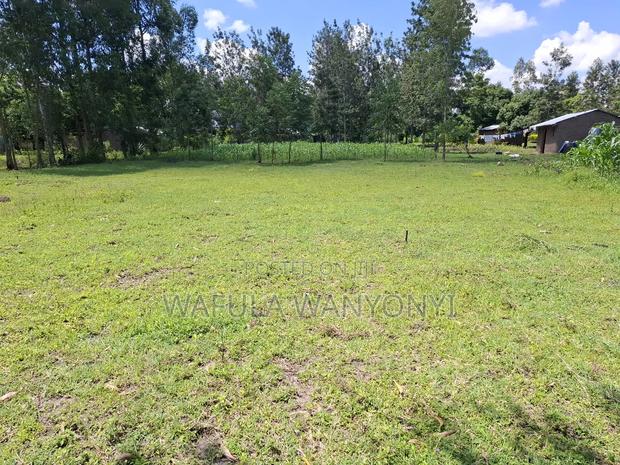 100 by 100 Kocholia Busia - thumbnail 2